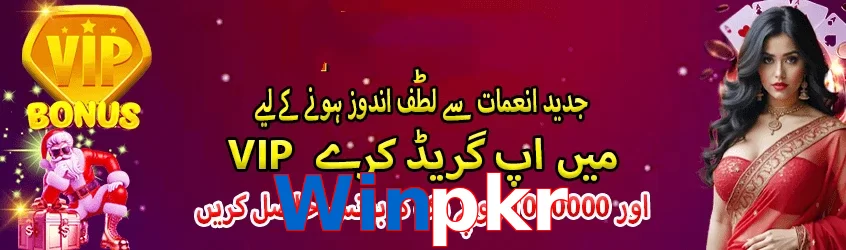 Winpkr interface sample